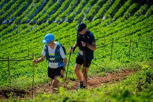 BIB: 
                            <button type="button" onclick="openModal(19162305)" class="btn btn-primary btn-sm float-right btn-popup" data-toggle="modal" data-target=".modal-high-quality">
                        <i class="fas fa-shopping-cart"></i> Add to Cart
                    </button>
                                            <button type="button" onclick="isThisMe(19162305, true)" class="btn btn-success btn-sm float-right btn-popup btn-isme hidden" data-toggle="tooltip" data-placement="bottom" title="นี่คือรูปของคุณใช่ไหม คลิกที่นี่เพื่อเอาเข้าอัลบั้ม">
                        <i class="fas fa-plus"></i> Add to album
                    </button>
                    <button type="button" onclick="isThisMe(19162305, false)" class="btn btn-warning btn-sm float-right btn-popup btn-isnotme hidden">
                        <i class="fas fa-ban"></i> Remove from album
                    </button>